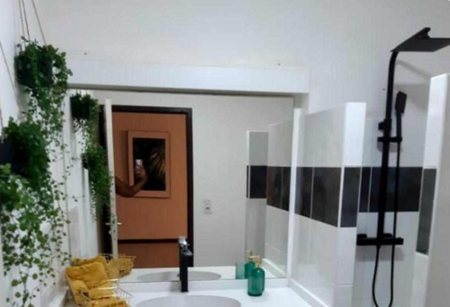 Emeraude Cayenne Extérieur photo