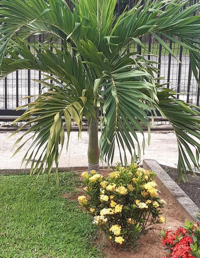 Emeraude Cayenne Extérieur photo
